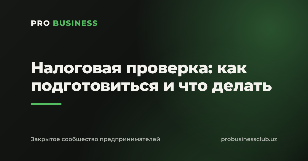 Налоговая проверка: как подготовиться и что делать